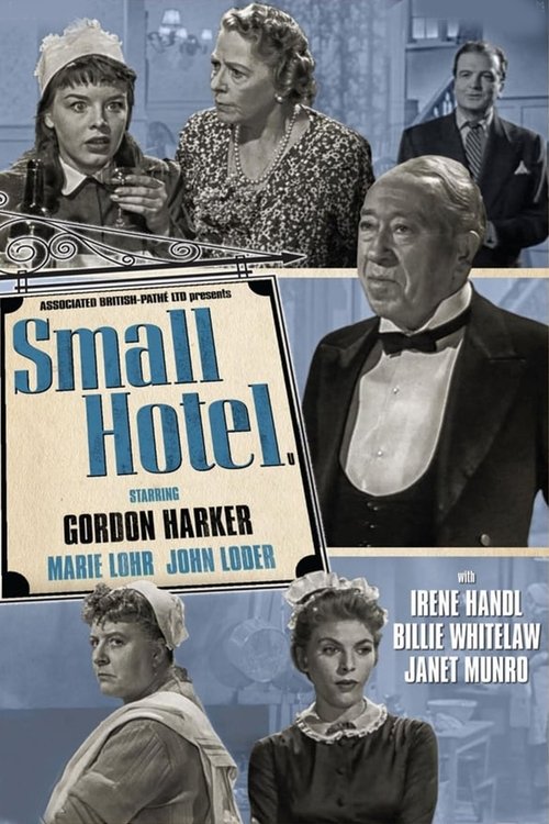 Small Hotel movie poster player
