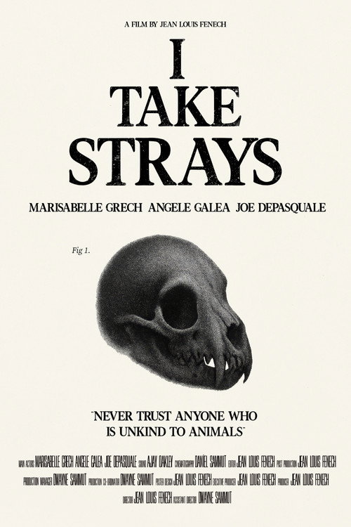 Cartell de I TAKE STRAYS