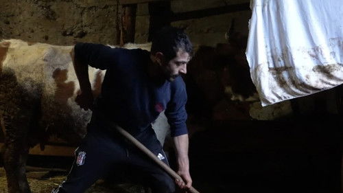 Armenians, The Hidden Grandmothers