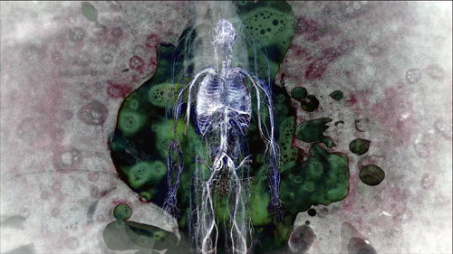 While the Green Grass Grows: A Diary in Seven Parts