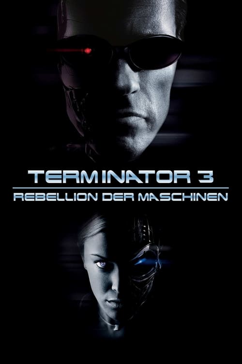 Terminator 3: Rise of the Machines poster