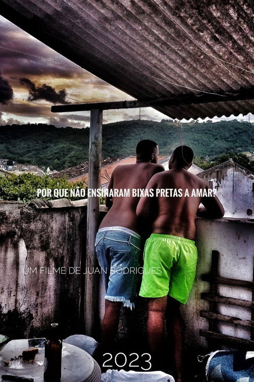 Por que Não Ensinaram Bixas Pretas a Amar?