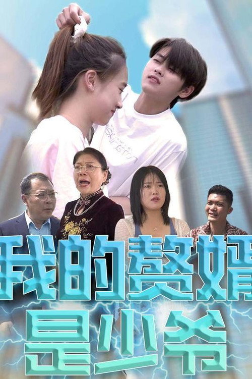 我的赘婿是少爷