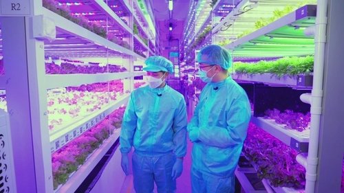 Image de l'épisode 11