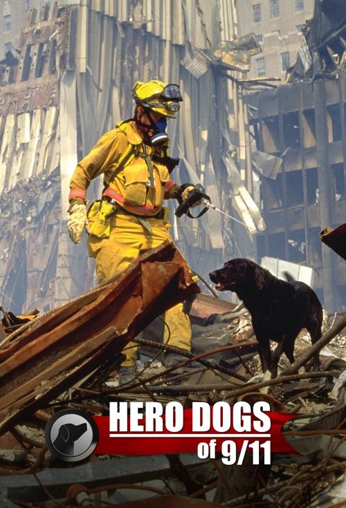 Hero Dogs Of 9/11 (2011)