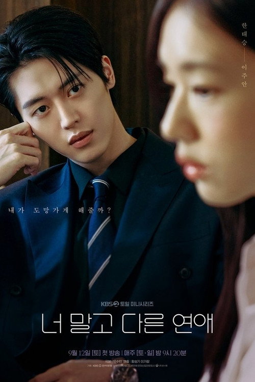 Poster (Koreanisch)