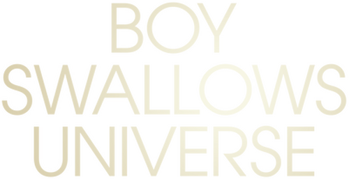 Boy Swallows Universe