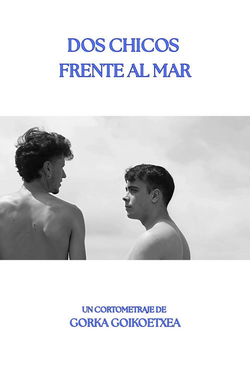 Dos Chicos Frente al Mar poster