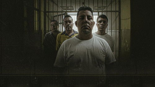 合理怀疑：两宗绑架案