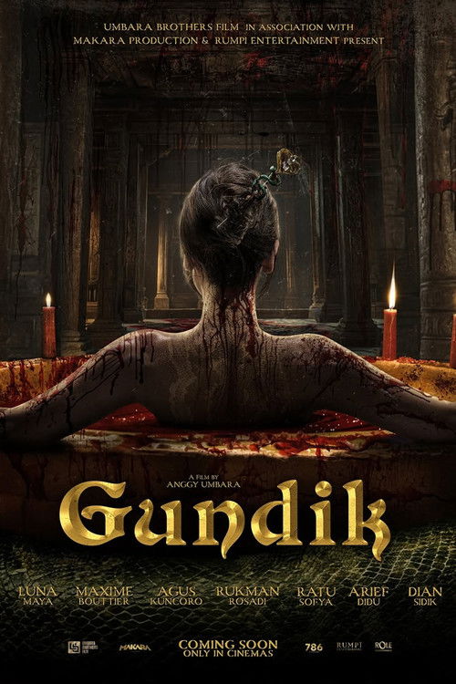 Gundik poster