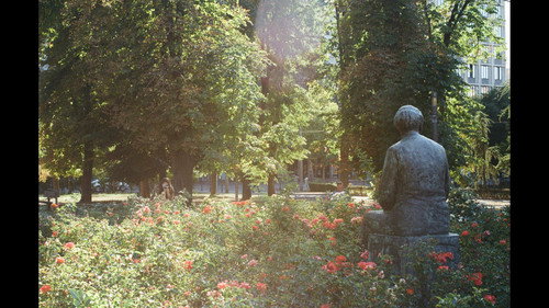 Yours, From Belgrade Backdrop Blur