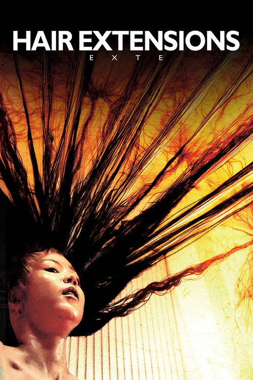 Exte: Hair Extensions poster
