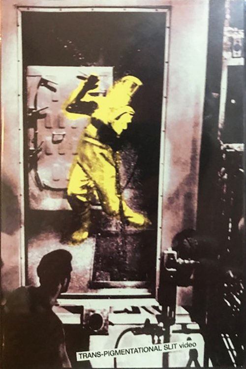 Trans-Pigmentational Slit (1980) poster