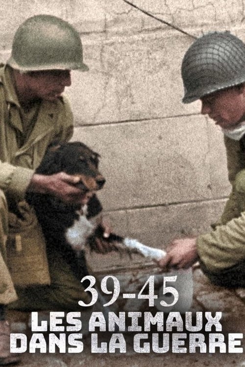 Animals at War, Wild Heroes of World War II (2019)