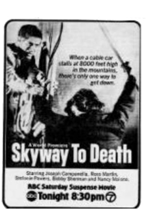 Skyway to Death movie poster player
