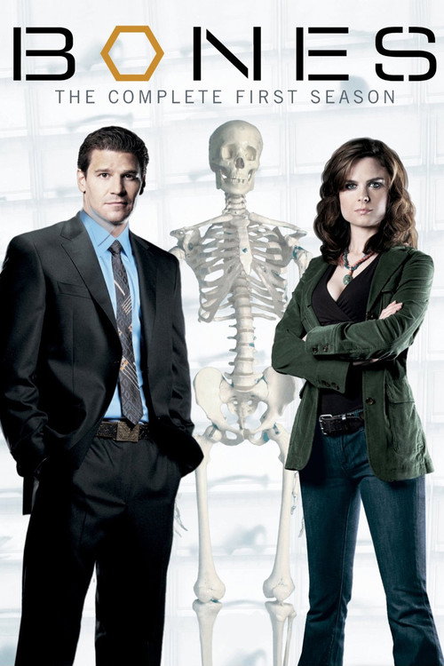 Bones सीज़न 1 का पोस्टर