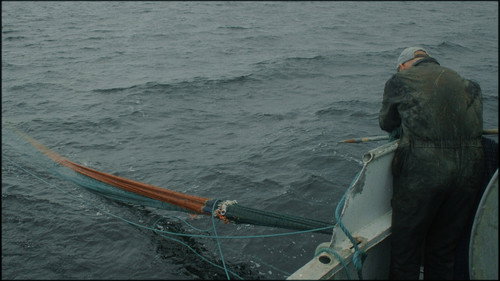 Caught in the net — Backdrops 8