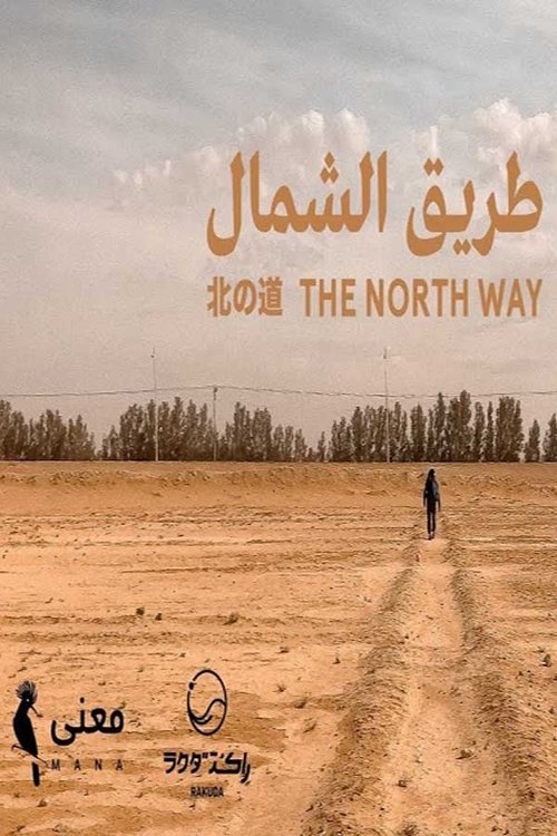 طريق الشمال movie poster player