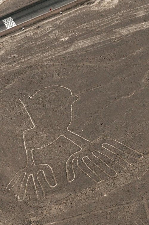 Nasca lines decoded 2009