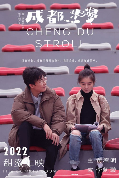 Cheng Du Stroll poster