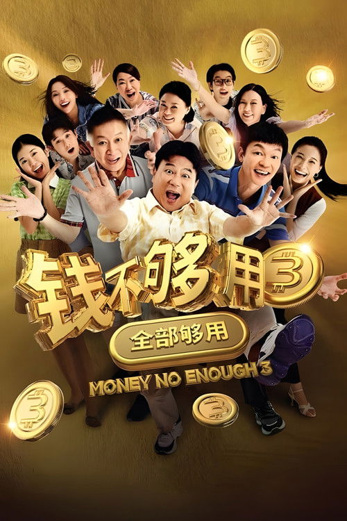 Money No Enough 3 poster