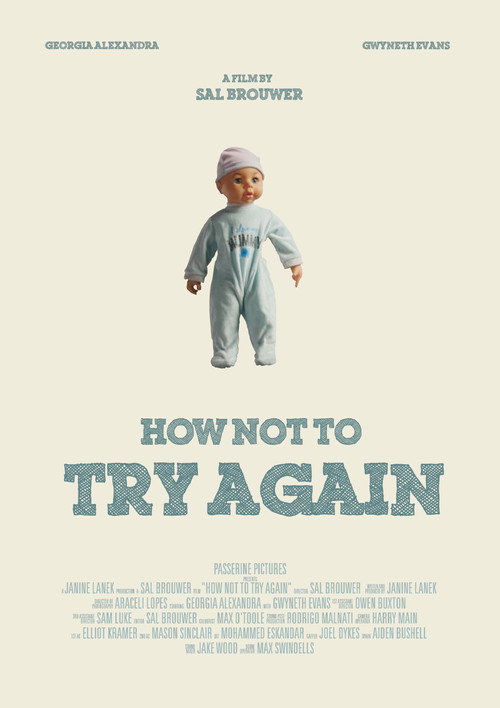 How Not To Try Again Poster