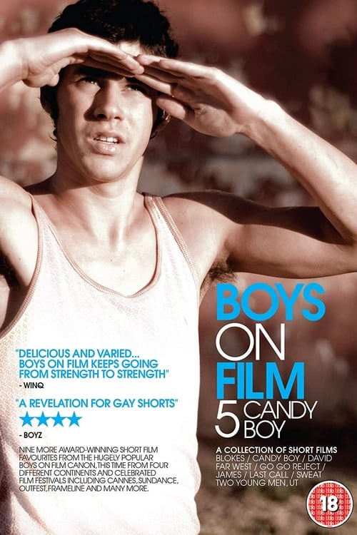 Boys On Film 5: Candy Boy Movie Poster Image