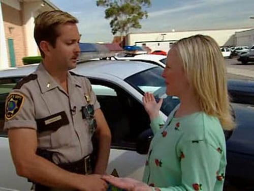 Poster della serie Reno 911!