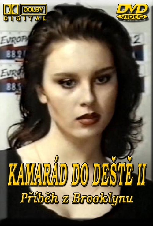 Kamarád do deště II - Příběh z Brooklynu Online