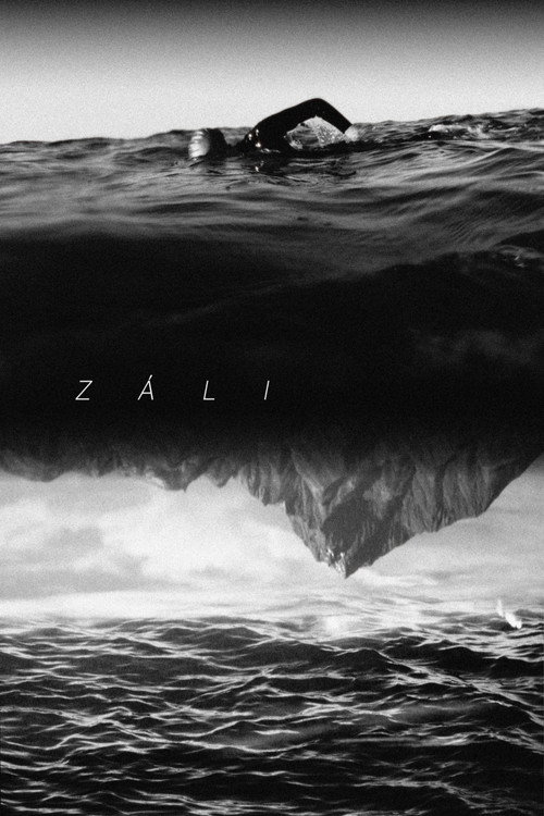 Záli