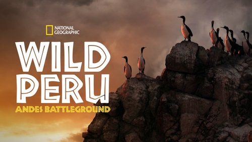 Wild Peru: Andes Battleground