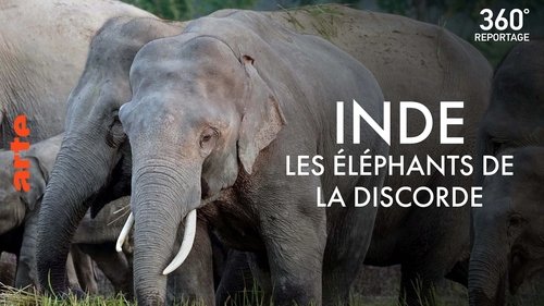 Image de l'épisode 34