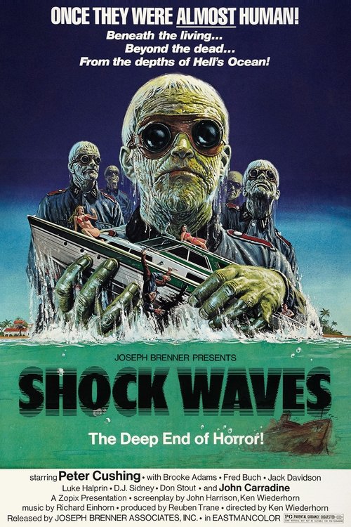 Shock Waves 1977