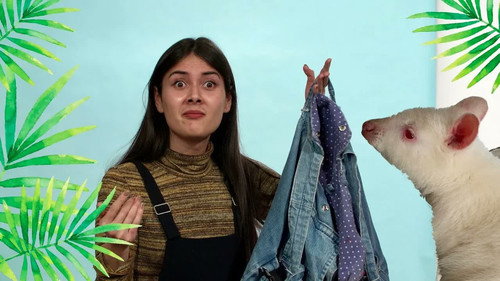 Episódio 13