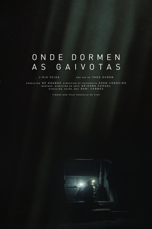 Onde dormen as gaivotas 2020 Onde dormen as gaivotas 2020