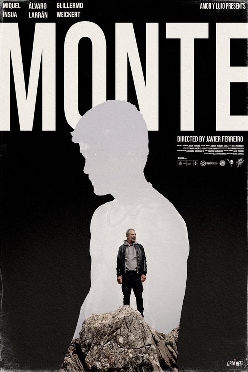 |IT| Monte