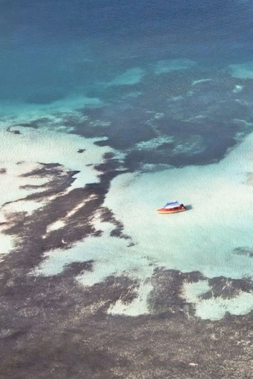 Possible Landscapes poster