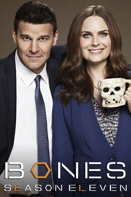 Where to stream Bones Season 11