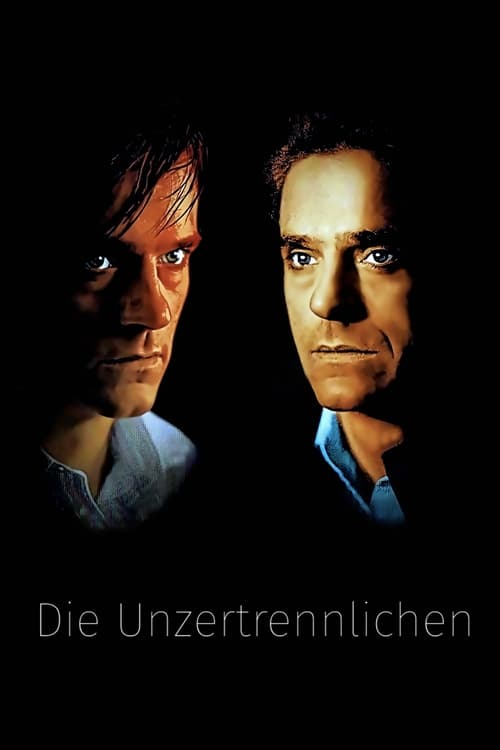 Dead Ringers poster