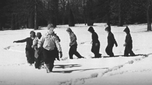 Play in the Snow Backdrop Blur