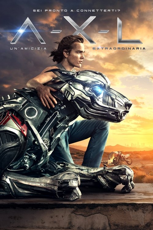 Posters