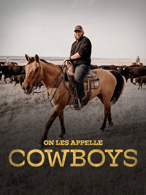 Affiche de On les appelle cowboys