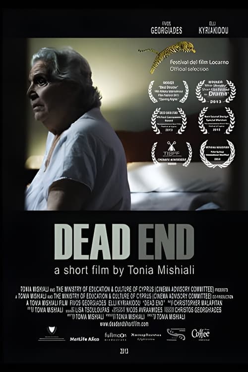 Poster Dead End 2013