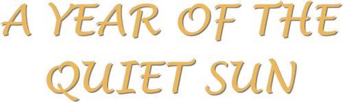 A Year of the Quiet Sun