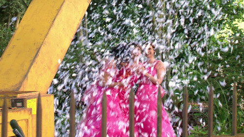 Revenge of the Bridesmaids