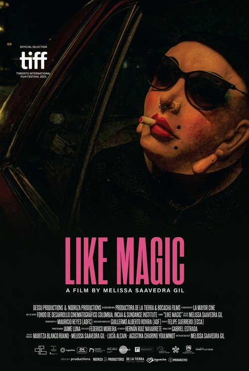 Like Magic poster