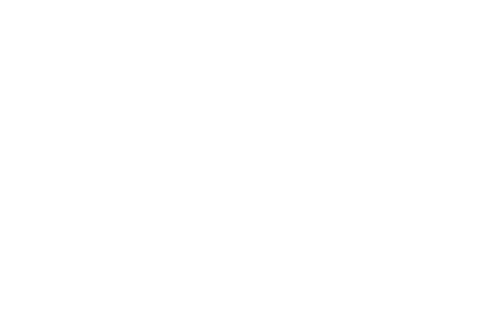 The Barbarian and the Geisha