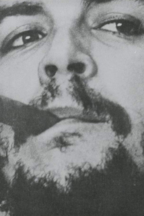 Cartell de Che Che Che