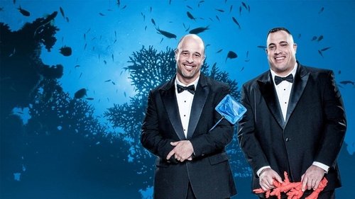 Aquamen Les As Des Aquariums Streaming Aquamen Série Entier Vf | {*Streaming-Fr*}