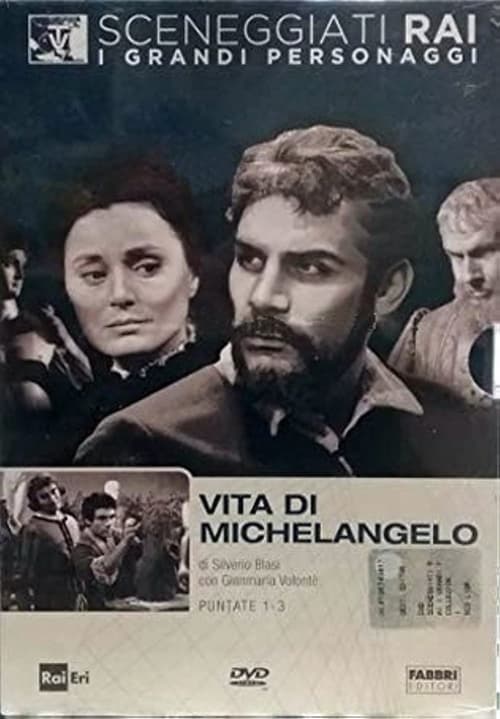 Poster Vita di Michelangelo